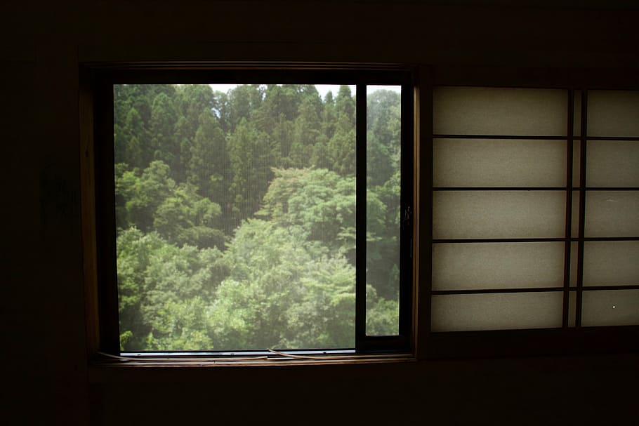 開いたドアの窓, 窓, 自然, 木, 緑, 山, 森, 屋内, 人なし, 日