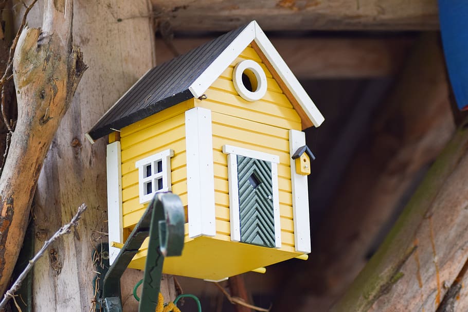 Home, Aviary, Vacation, Bird Feeder, nesting box, yellow, decoration, house, wood - Material, nature