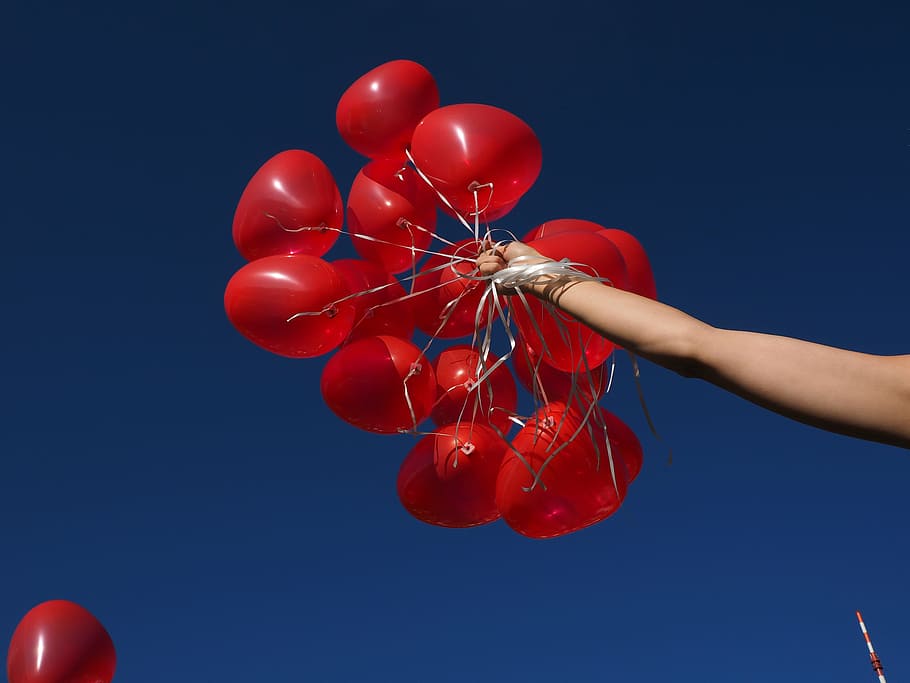 persona, tenencia, globos de helio, globos, detención, brazo, mano, subir, actualizar, mosca