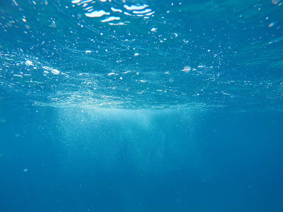 corpo de água, embaixo da agua, fotografia, natureza, agua, oceano, mar, bolhas, superfície, azul