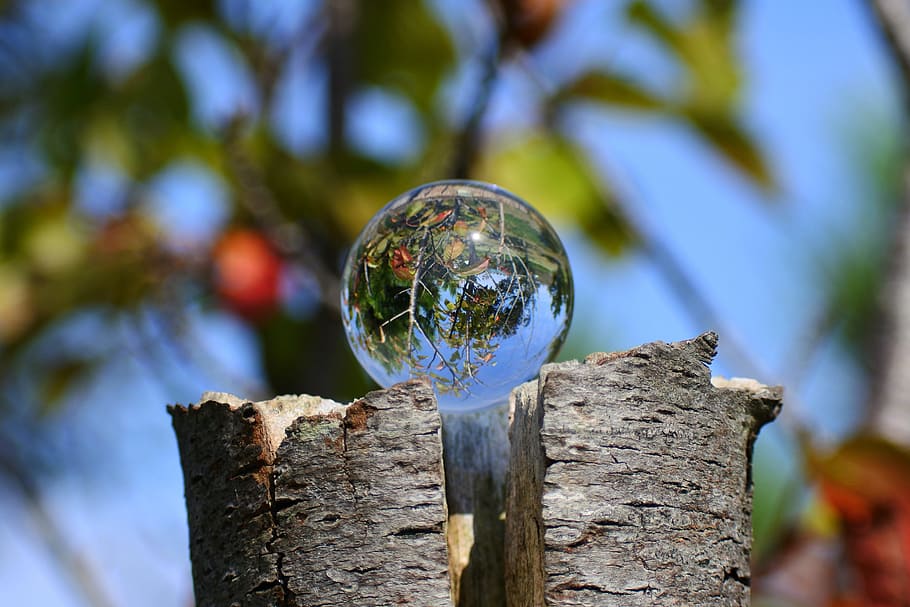 natural, landscape, plant, wood, green, glass, glass beads, the world upside down, tree, focus on foreground