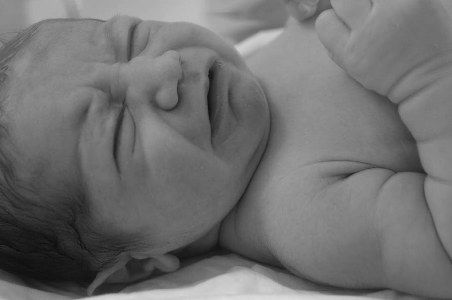 出産, ビンボ, 男性, 生まれ, ちょうど, 前に, 写真, 新生児, 人体の一部, 屋内