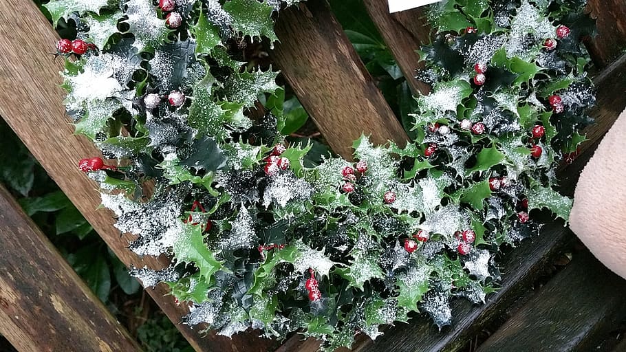 green, red, artificial, flowers wreath, christmas, wreath, snow, christmas holly, december, christmas garland