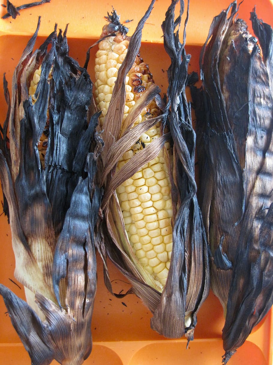corn, kernels, burnt, yellow, indian, maize, plant, vegetable, grain, seeds