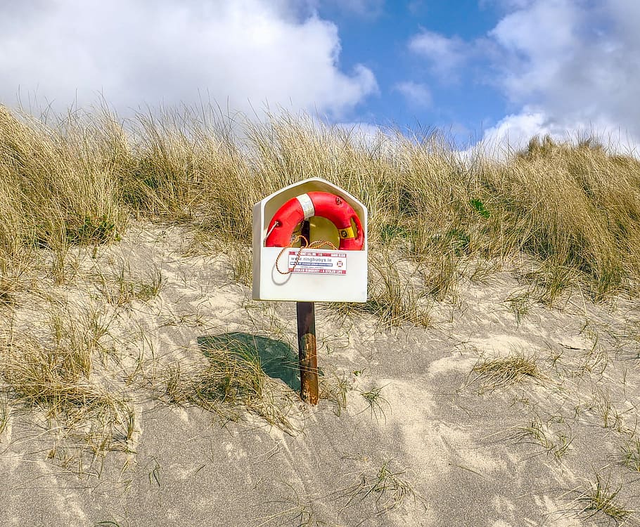 lifebuoy, life ring, beach, safety, communication, sign, plant, sky, nature, text