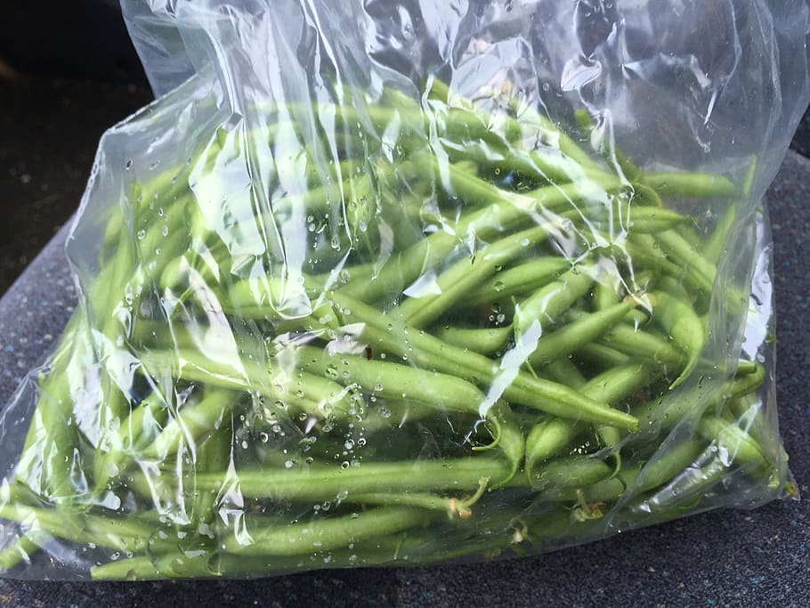 Green Beans, Plastic Bag, Vegetable, beans, food, freshness, green Color, healthy eating, food and drink, wellbeing