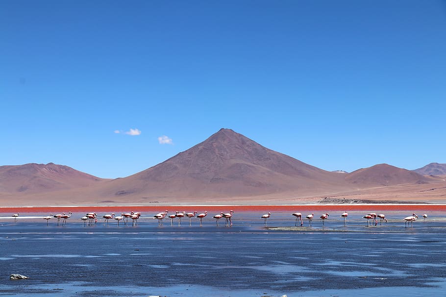 bolivia, holiday, road trip, mountain, landscape, desert, volcano, lagoon, highlands, clouds