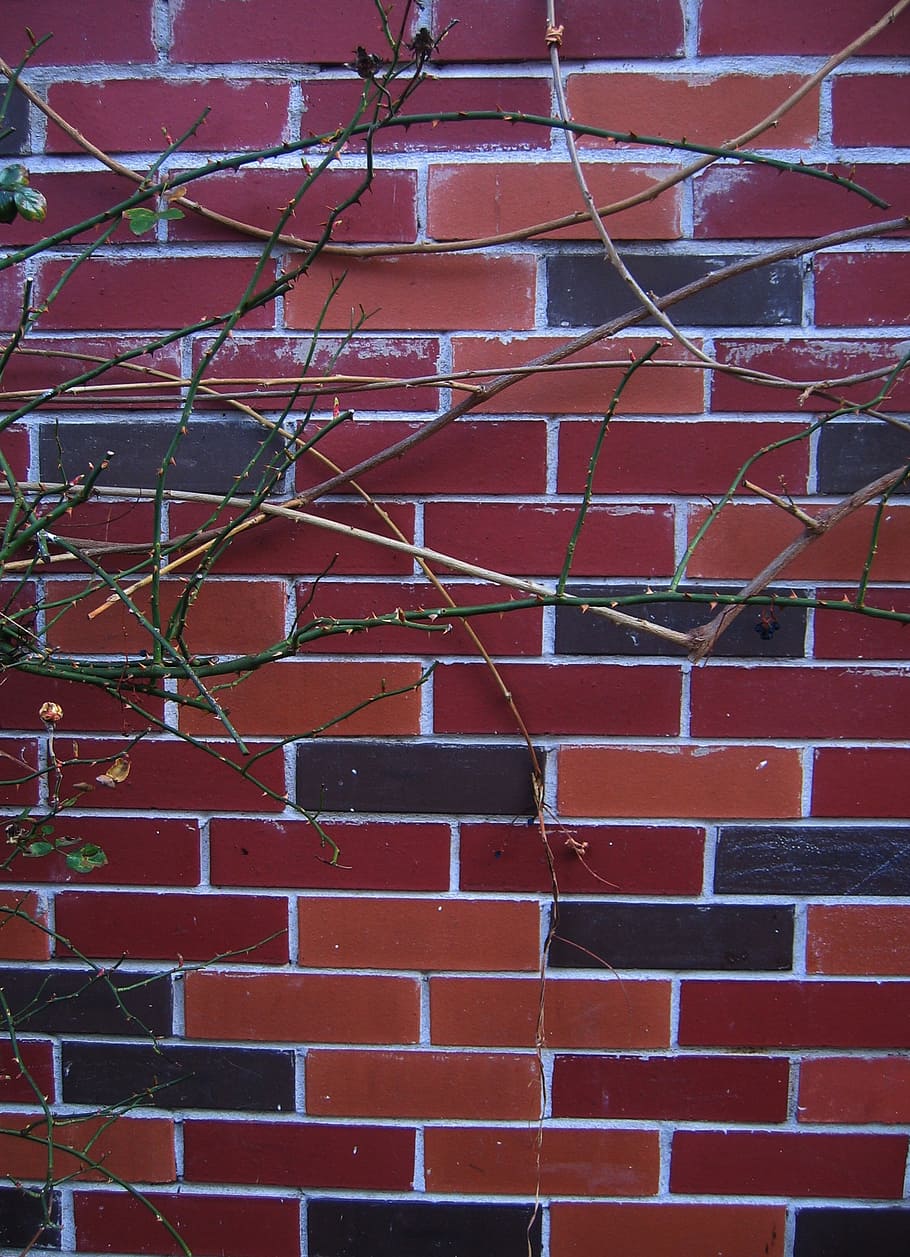 pared, piedras, muro de piedra, textura, albañilería, piedra, fondo, fondos, rojo, estética