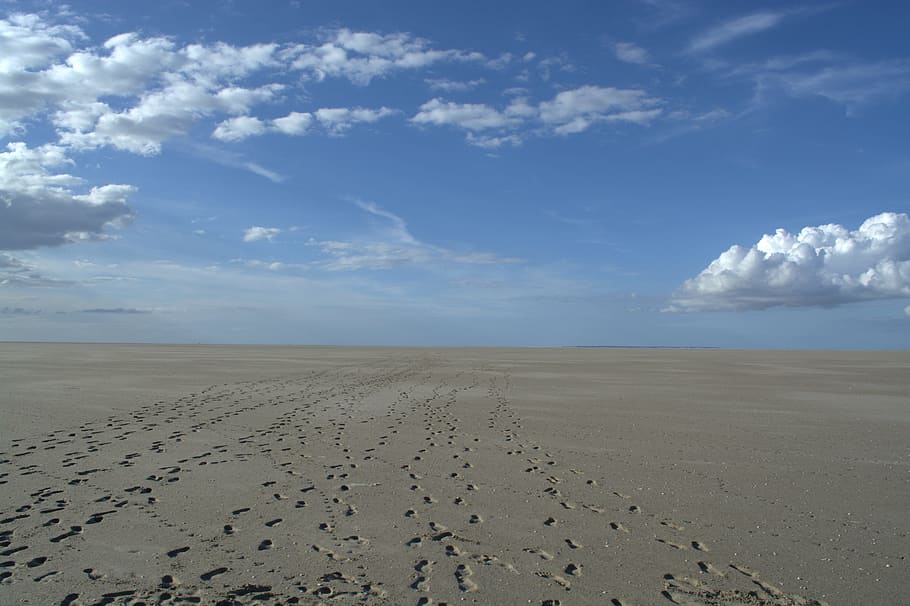 norderoogsand, Sandbar, zona de protección de la naturaleza, reserva natural, mar del norte, playa, paisaje, naturaleza, descanso, arena