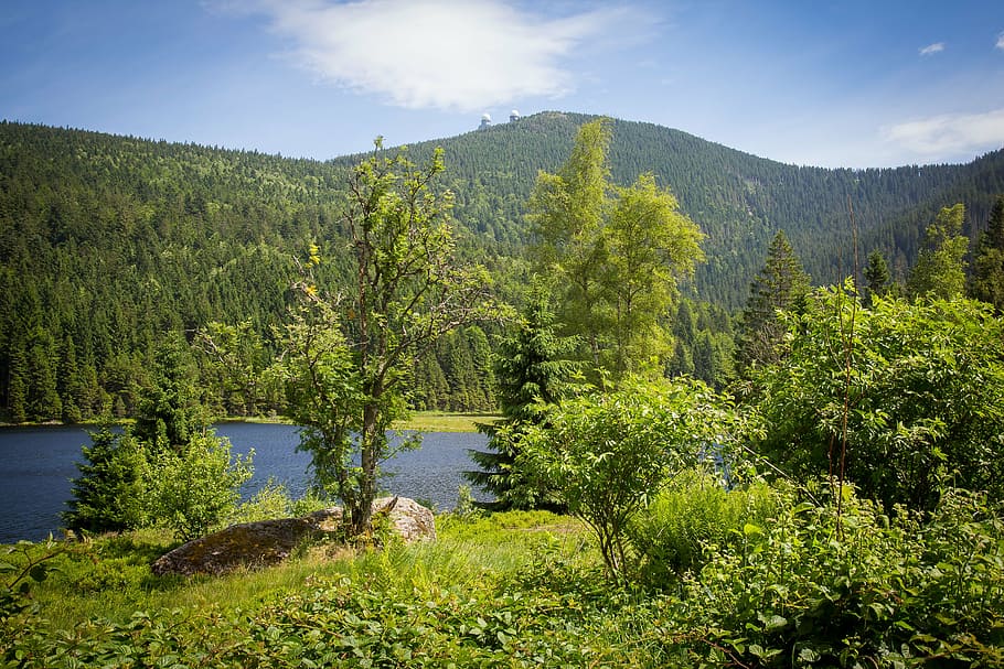 arber, kleiner arbersee, bergsee, great arber, plant, tree, water, scenics - nature, beauty in nature, mountain