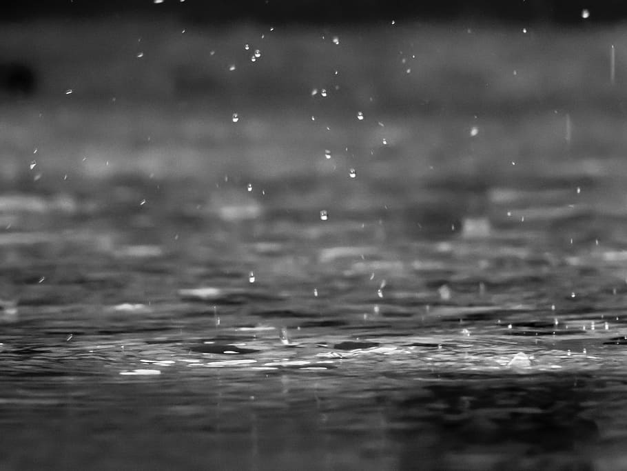 foto grayscale, tetesan hujan, tetes, air, tubuh, grayscale, foto, hujan, basah, danau