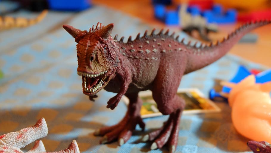 carnotauro, dinosaur, toy, animal representation, representation, animal, animal themes, focus on foreground, extinct, indoors
