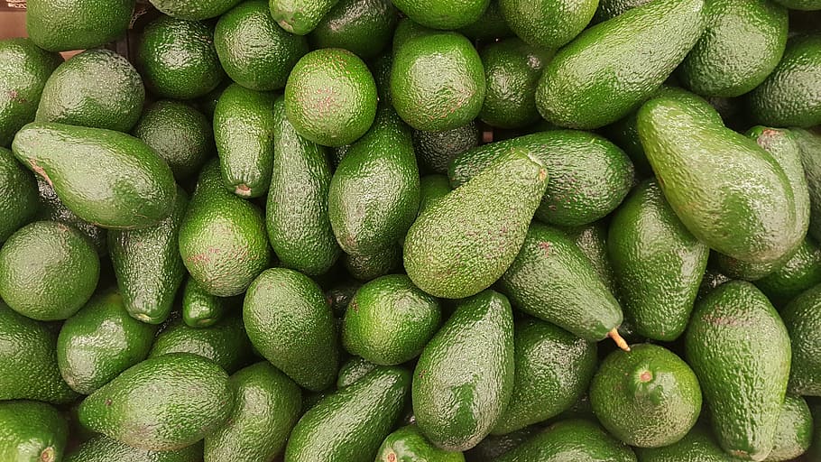 green avocado fruits, Avocado, Fruit, Vegetarian, food, vegetable, freshness, green Color, backgrounds, organic