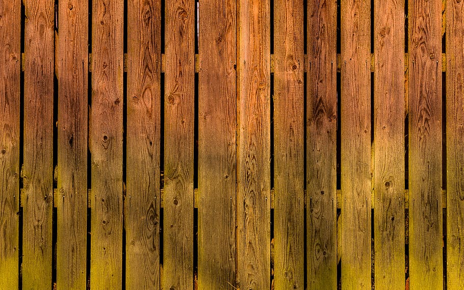 wood, woods, rau, chop wood, hardwood, screen background, wallpaper, desktop background, colorful, background