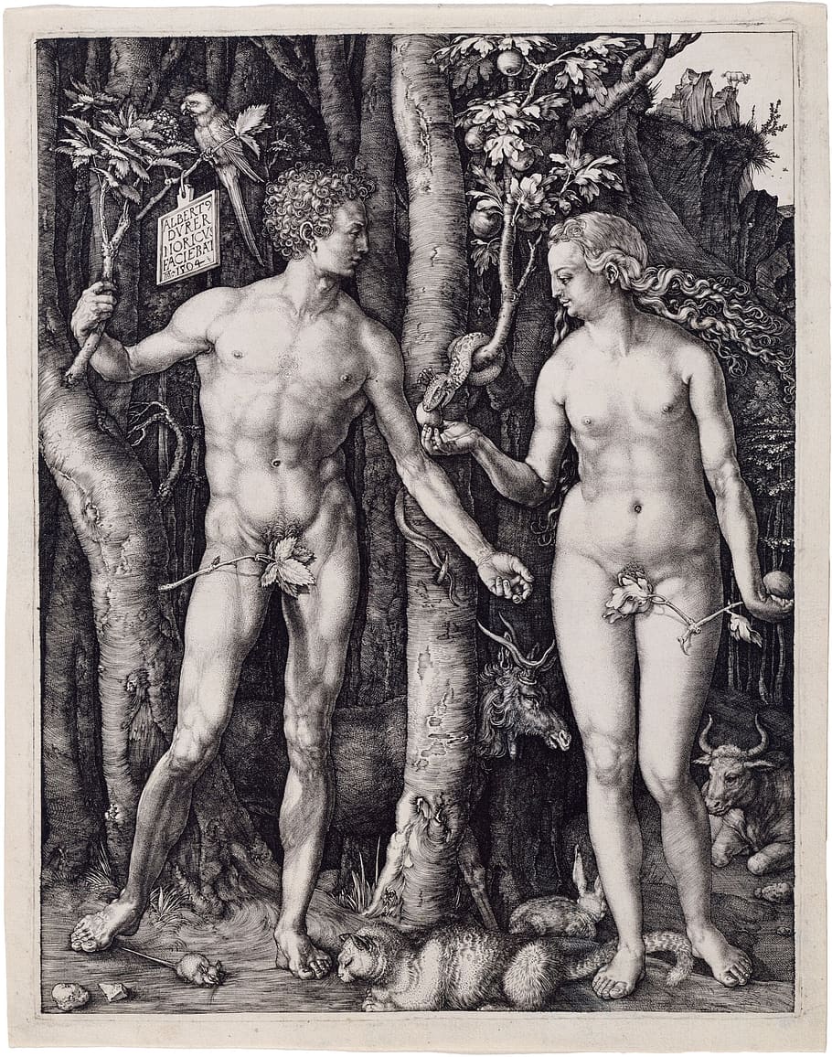 adam and eve, religion, albrecht dürer, 1504, christianity, catholic, protestant, faith, artwork, art