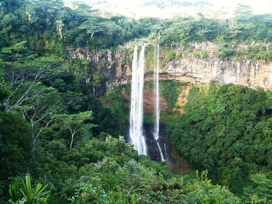 aerial, waterfalls, mauritius, waterfall, jungle, tree, plant, scenics - nature, water, beauty in nature