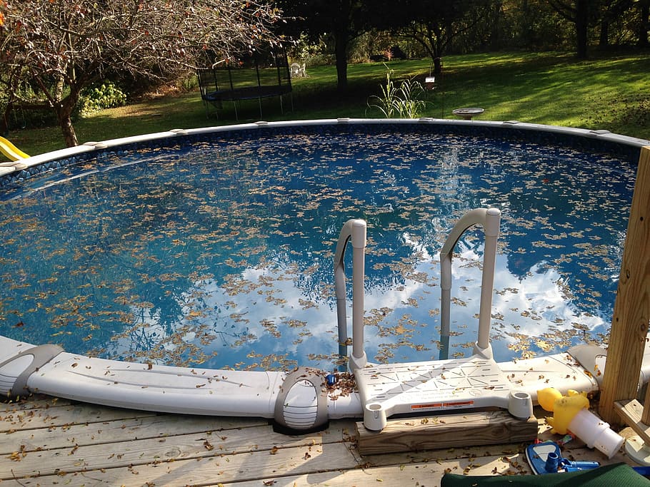 top, in-ground pool, Cleaning, Leaves, Pool, Maintenance, leaf, reflection, foliage, skimmer