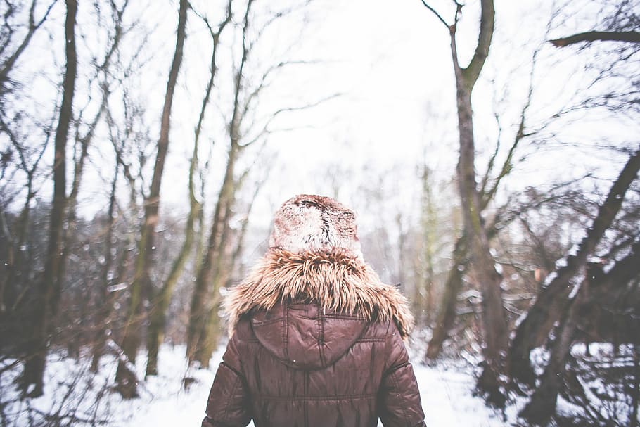 Girl, Walking, Snowy, Forest, cold, snow, winter, outdoors, women, nature