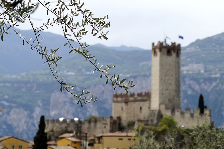 ramo de oliveira, itália, malcesine, castello scaligero, garda, castelo, castello, montanhas, atmosférica, paisagem