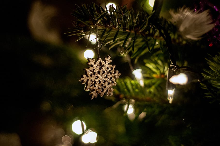 natal, árvore, luzes, enfeites, decorações, festivo, feriados, feriado, celebração, árvore de natal