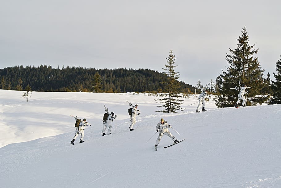 bundeswehr, soldados, uniforme, exército, esqui, neve, inverno, branco, abetos, luta