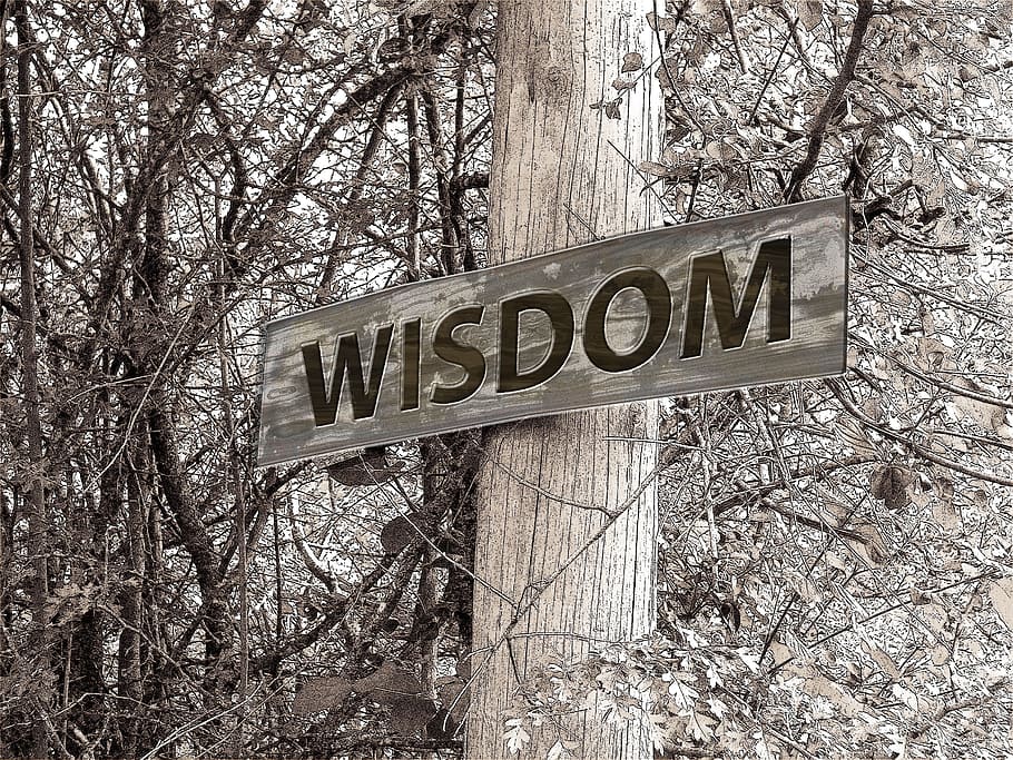 wisdom signage, wooden, post, directory, away, wisdom, education, experience, scholarship, life experience