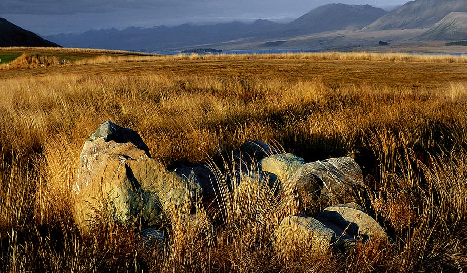 Anoitecer, Downs, Nova Zelândia, pedras cinzentas no campo, grama, montanha, paisagens - natureza, beleza na natureza, meio ambiente, planta