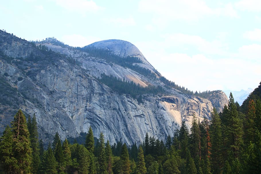 yosemite, mitad, cúpula, montañas, parque nacional, estados unidos, américa, california, sobre la marcha, turismo