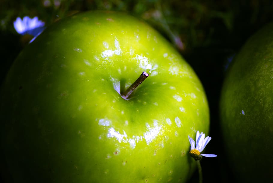 apple, shine, daisy, garden, natural fruit diet, green, grany, food and drink, healthy eating, food