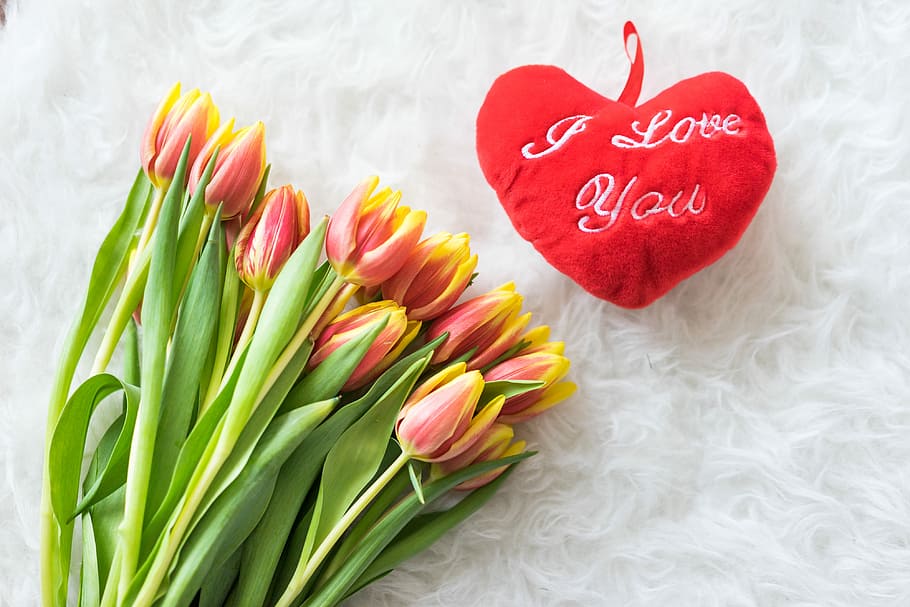 kees nelis тюльпаны, обожаю, Тюльпаны, Плюшевые, Я люблю тебя, Сердце, милые, цветы, сердечки, kees nelis