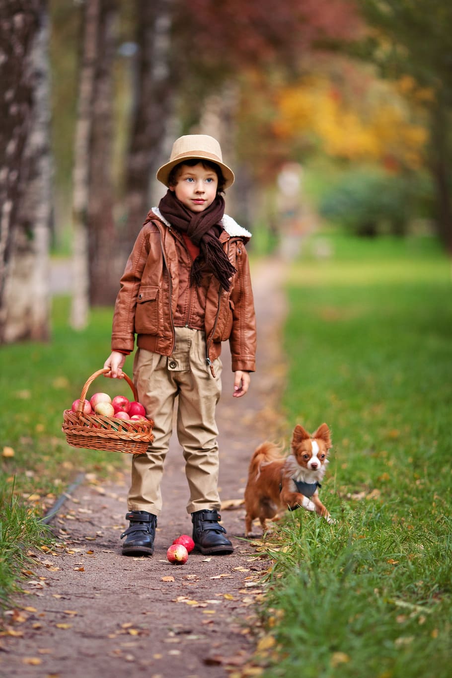 boy, brown, leather jacket, standing, dog, pathway, forest, pet, little dog and the boy, trees