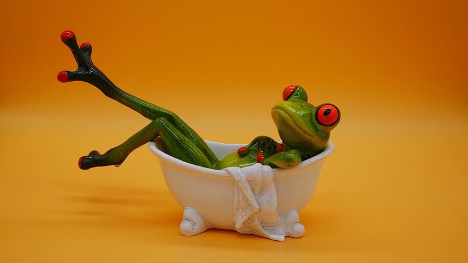 frog, figure, cute, funny, frogs, bath, colored background, food and drink, studio shot, pepper