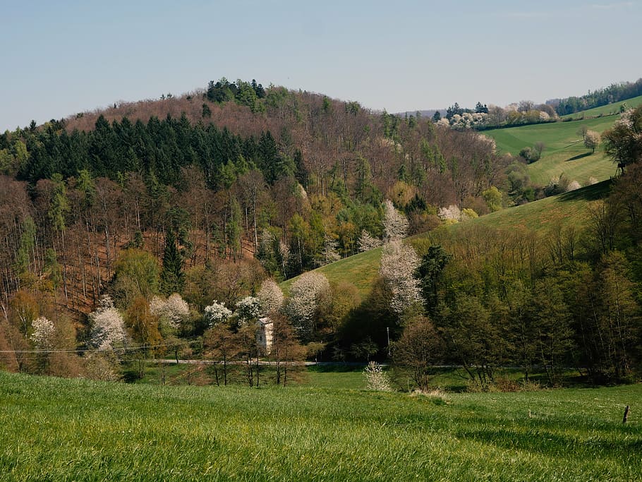odenwald, cultural landscape, mixed forest, südhessen, germany, highlands, spring, fields, reported, forest