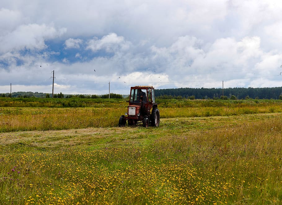 field, meadow, tractor, sky, partly cloudy, rain, nature, beauty, forest, summer
