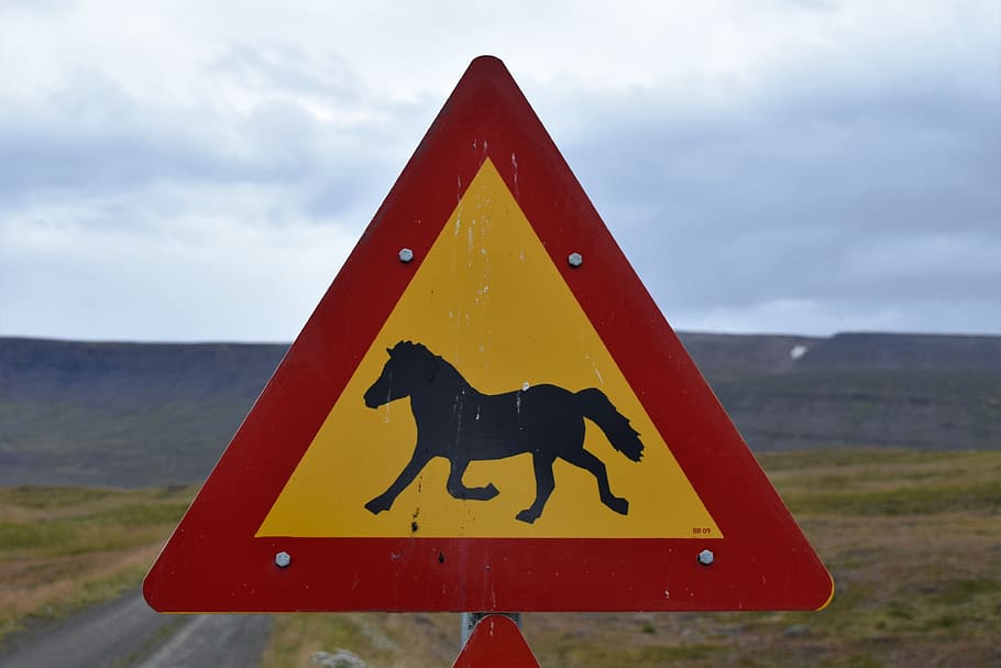 sign, horse, crossing, road, street, animal, icon, yellow, red, rural