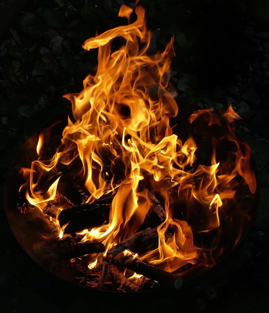 burning, wood, night, fire, flame, fire bowl, wood fire, burn, combustion, glow
