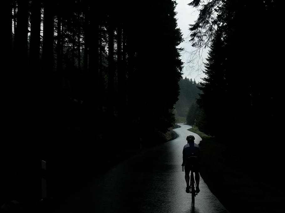 bike, cycling, bicycles, bike ride, rain, tree, plant, transportation, one person, real people