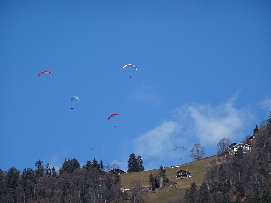 Paraglider, Paragliding, Fly, Float, sky, sporty, mood, mountains, dynamics, atmosphere