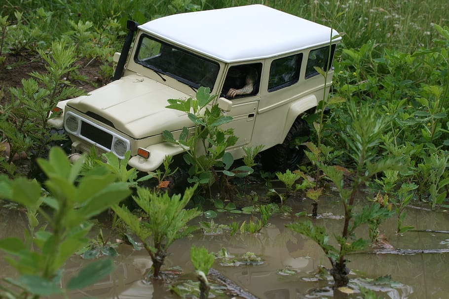 bush taxi, toyota, sacle crawler, plant, growth, mode of transportation, transportation, green color, nature, land vehicle