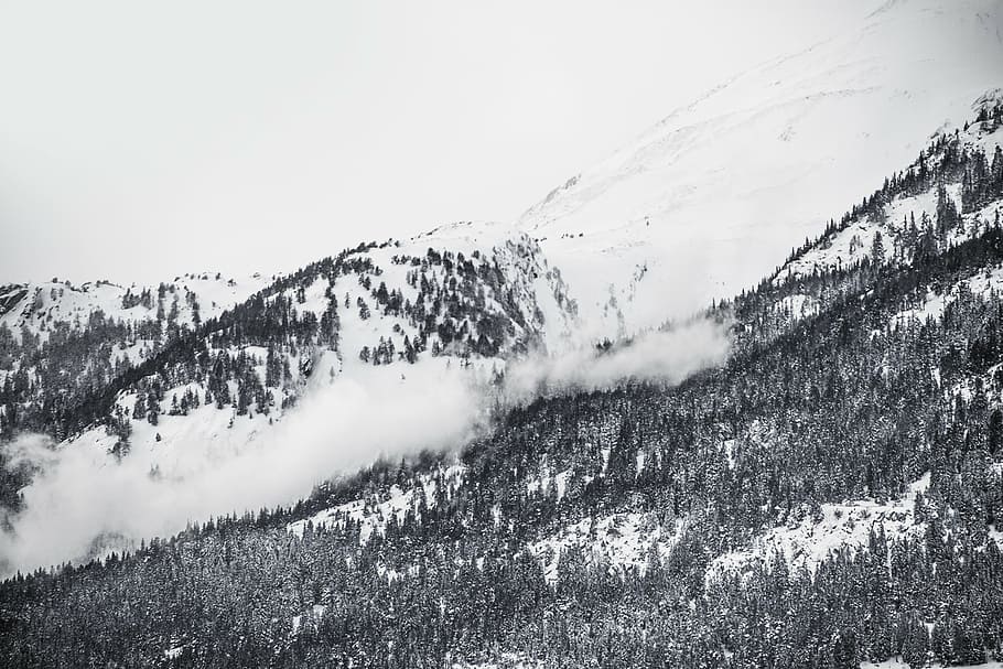 grayscale photo, snow, capped, mountain, avalanche, trees, gray, scale, photography, winter