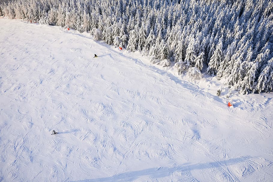 grande, pista de esqui, esquiadores, aéreo, nuvens, frio, floresta, de cima, colinas, montanhas