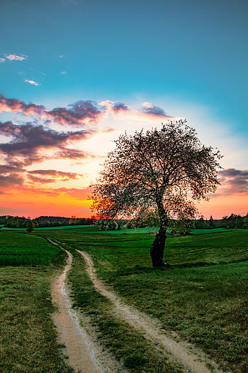 landscape-sunset-west-dirt-road-way-summer-royalty-free-thumbnail.jpg