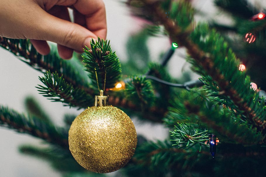 christmas, tree, lights, ornaments, decorations, festive, holidays, celebration, christmas decoration, decoration