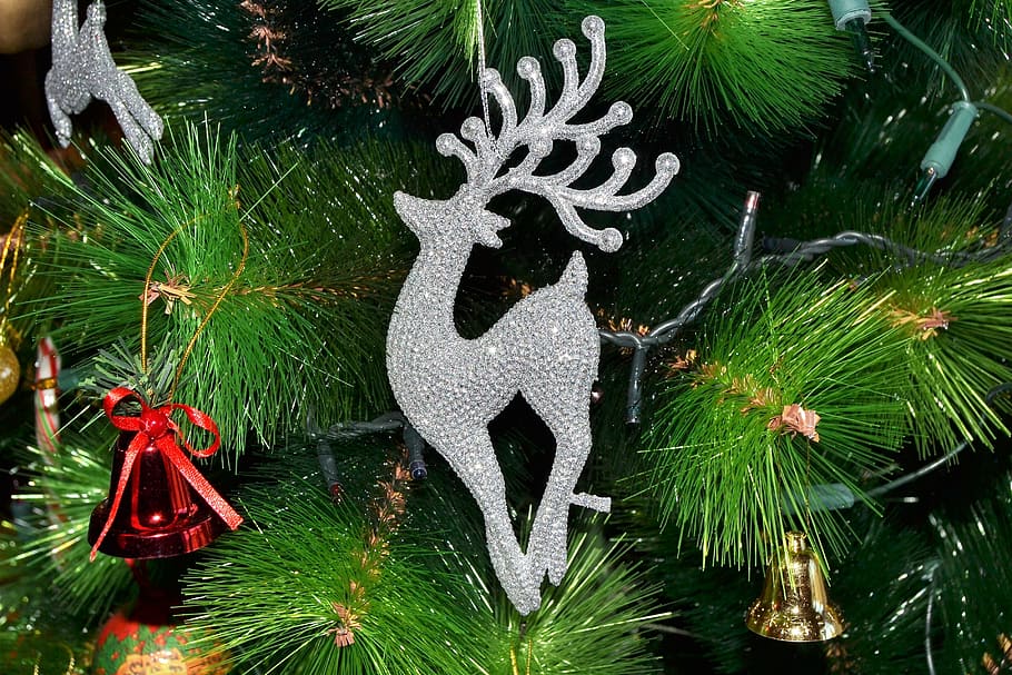 closeup, christmas tree, bells, deer ornaments, christmas, tree, merry christmas, celebration, christmas decoration, tradition