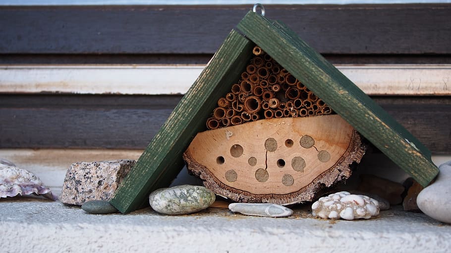 Insect Hotel, Wild Bees, Ecology, bees, urban, nature conservation, nesting help, biodiversity, wasps, breeding help