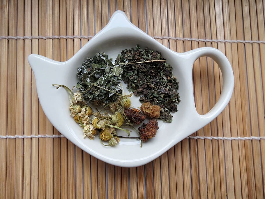 tea, herbs, herb, plant, green, kettle, bamboo, chamomile, nature, foliage