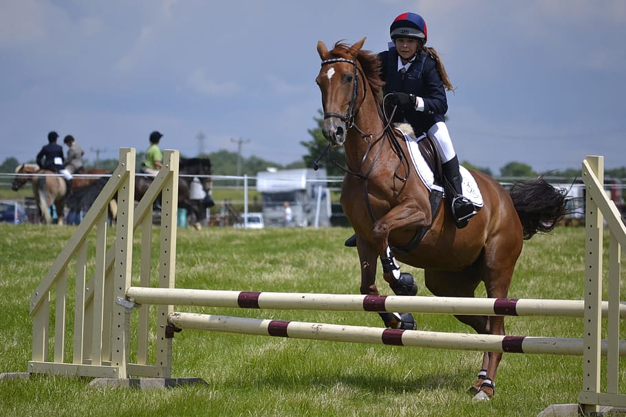 girl, riding, brown, horse, hopping, obstacle course, Horse Jumping, Fence, fence jump, equestrian
