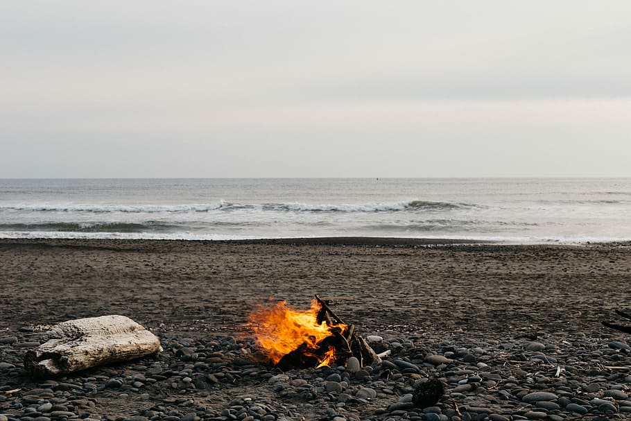painting, bonfire, seat shore, seat, shore, beach, brown, fire, gray, orange