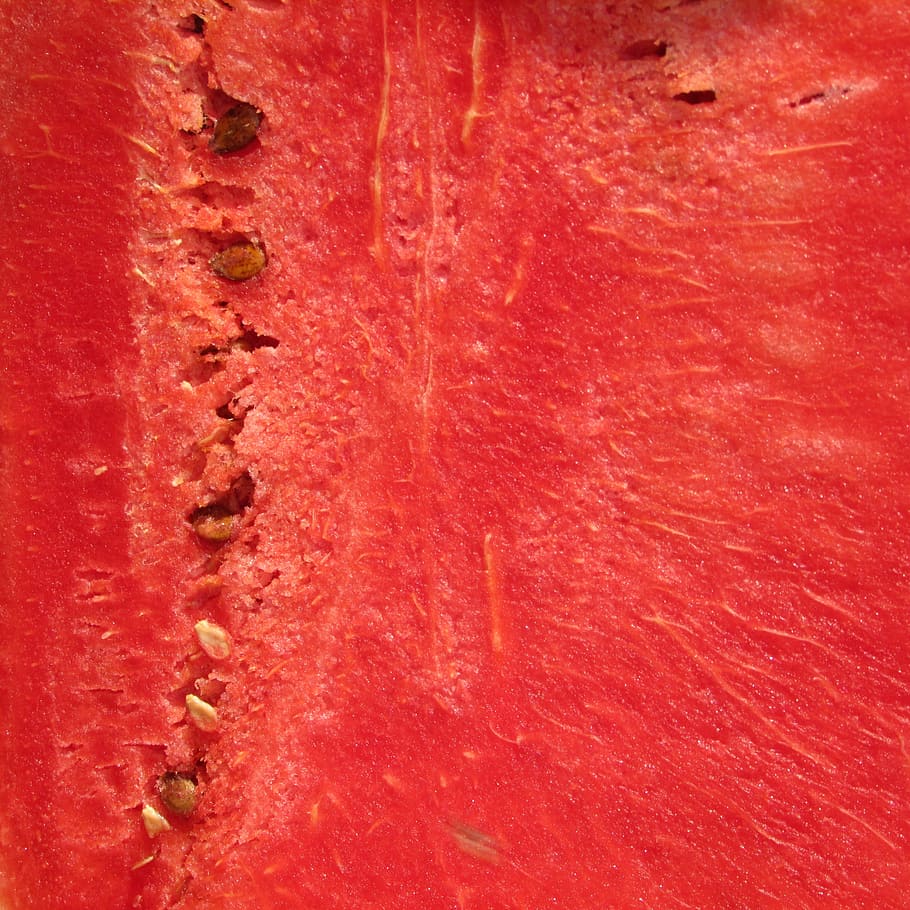 melon fruit, Watermelon, Melon, Citrullus Lanatus, red, fruit, summer, juicy, seeds, india