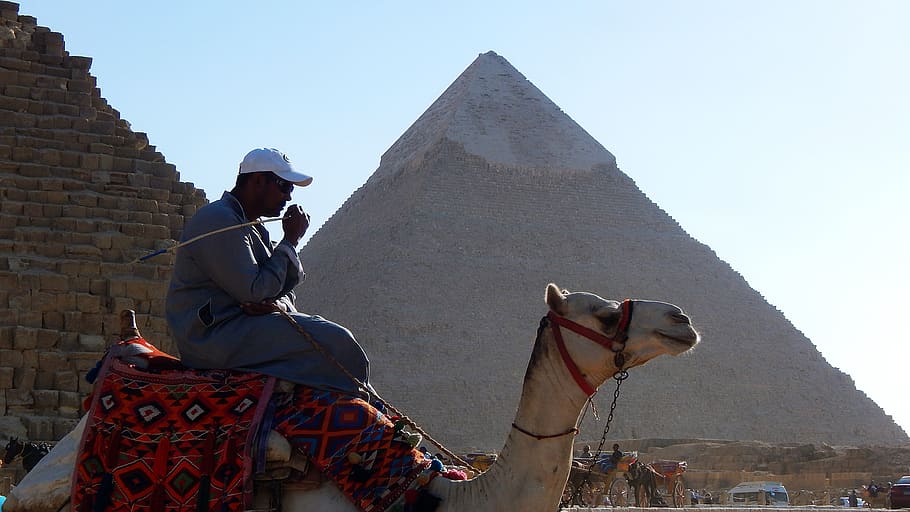 pyramid, camel, egypt, cairo, history, egyptian, giza, architecture, sky, domestic animals